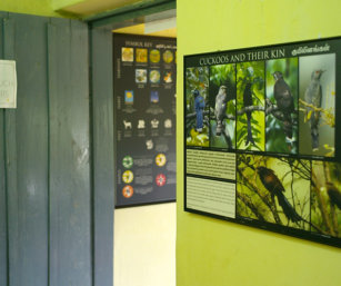 Information Centre