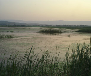 Karapura Lake